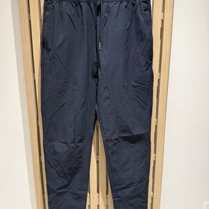 Zanerobe Dark Blue Active Pants